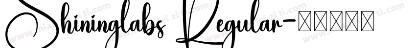 Shininglabs Regular字体转换